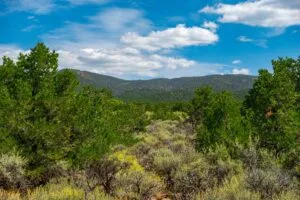 5.7 Acre Corner Lot With Power Close To Mountain Home Reservoir