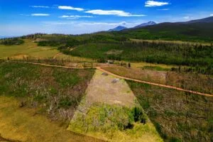 2.5 Acre Pre-Cleared Hillside Lot With Underground Utilities In Upscale Forested Community