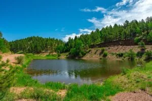 1 Acre Forested Lot In Upscale Community With Power, Underground Utilities And Water Access
