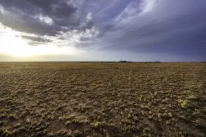 5 Acre Partially Fenced, Pre-Staked Lot Free Of Zoning Restrictions