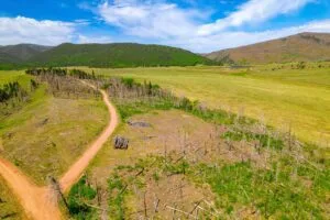 2.5 Acre Pre-Cleared Hillside Lot With Underground Utilities In Upscale Forested Community