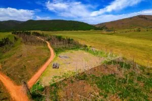 2.5 Acre Pre-Cleared Hillside Lot With Underground Utilities In Upscale Forested Community