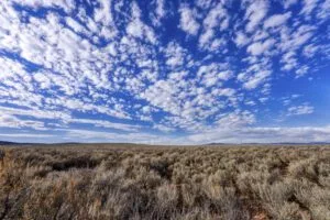 0.25 Acre RV & Earthship Friendly Lot Just Minutes From Taos