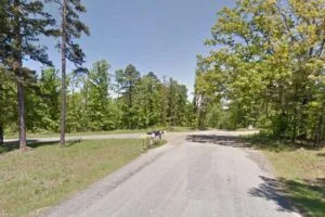 2.18 Acres of Peaceful Country Living in Bigelow, AR – Perfect for Your Dream Escape!