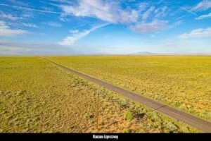 0.25 Acres Residential Lot In The Path Of Development
