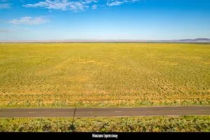 0.25 Acres Residential Lot In The Path Of Development