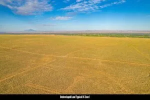0.25 Acres Residential Lot In The Path Of Development