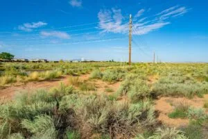 0.25 Acres Residential Lot In The Path Of Development