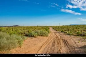 0.25 Acres Residential Lot In The Path Of Development