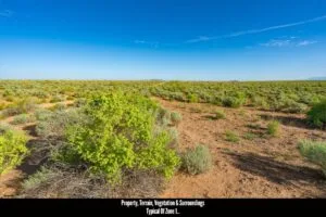 0.25 Acres Residential Lot In The Path Of Development