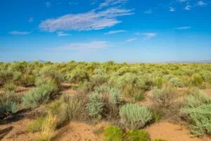 0.25 Acres Residential Lot In The Path Of Development