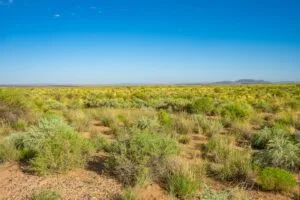 0.25 Acres Residential Lot In The Path Of Development
