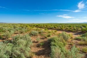 0.25 Acres Residential Lot In The Path Of Development