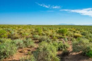 0.25 Acres Residential Lot In The Path Of Development