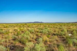 0.25 Acres Residential Lot In The Path Of Development