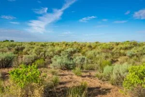 0.25 Acres Residential Lot In The Path Of Development