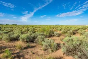 0.25 Acres Residential Lot In The Path Of Development