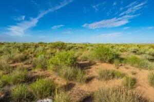 0.25 Acres Residential Lot In The Path Of Development