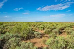 0.25 Acres Residential Lot In The Path Of Development