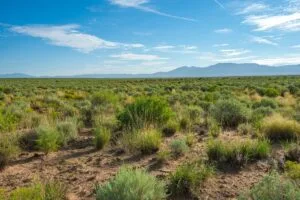 0.25 Acres Residential Lot In The Path Of Development
