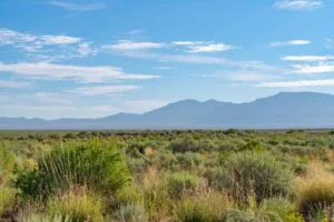 0.25 Acres Residential Lot In The Path Of Development