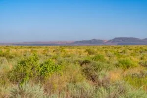 0.25 Acres Residential Lot In The Path Of Development