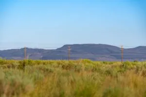 0.25 Acres Residential Lot In The Path Of Development