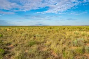0.25 Acres Residential Lot In The Path Of Development