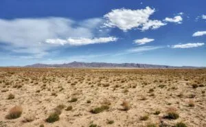 5 Acre Partially Fenced, Pre-Staked Lot Free Of Zoning Restrictions