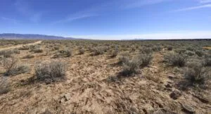 1 Acre Residential Lot In Valencia County, NM – In Developing Area