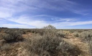 1 Acre Residential Lot In Valencia County, NM – In Developing Area