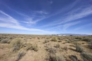 1 Acre Residential Lot In Valencia County, NM – In Developing Area