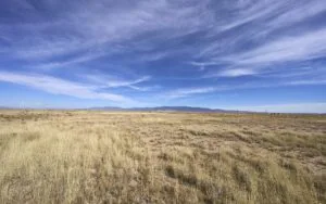 1 Acre Residential Lot In Valencia County, NM – In Developing Area