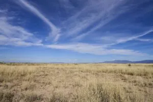 1 Acre Residential Lot In Valencia County, NM – In Developing Area