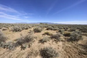 1 Acre Residential Lot In Valencia County, NM – In Developing Area