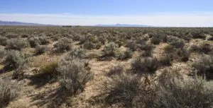 1 Acre Residential Lot In Valencia County, NM – In Developing Area