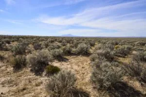 1 Acre Residential Lot In Valencia County, NM – In Developing Area