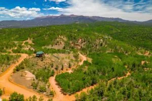1 Acre Forested Lot In Upscale Community With Power, Underground Utilities And Water Access