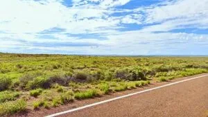 Retirement Savings Shrinking? Buy This 1.25 Acre Lot Right Now