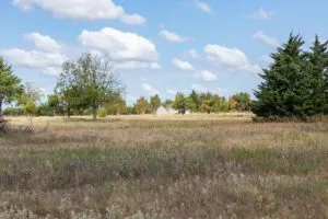 Idyllic Build Site in North Texas- Wildflower Reserve