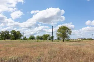 Idyllic Build Site in North Texas- Wildflower Reserve