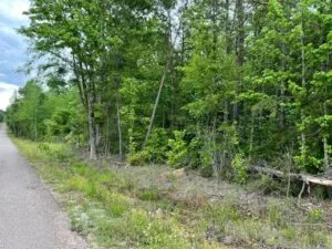 6.7 Acres with Creek Access, Municpal Water, Power and High Speed Internet