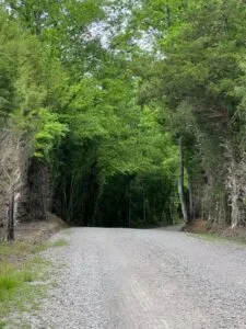 6.7 Acres with Creek Access, Municpal Water, Power and High Speed Internet