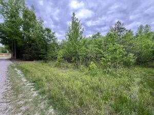 6.7 Acres with Creek Access, Municpal Water, Power and High Speed Internet