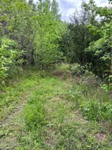 6.7 Acres with Creek Access, Municpal Water, Power and High Speed Internet