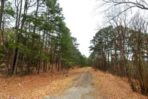 0.26-Acre Mountain View Arkansas Land for Sale