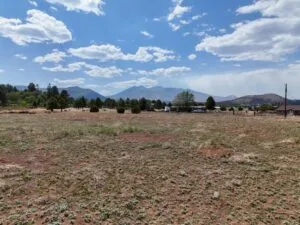 FOUR adjacent Build-Ready Off-Market Lots in beautiful Doney Park, Flagstaff, AZ