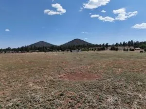 FOUR adjacent Build-Ready Off-Market Lots in beautiful Doney Park, Flagstaff, AZ