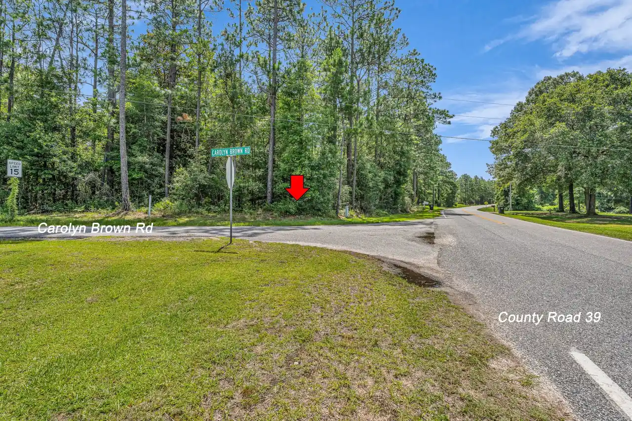a 3 acre lush, wooded corner lot