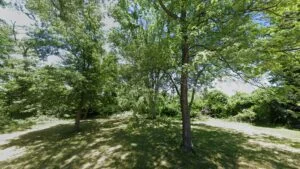 Three Prime Lots in the Heart of Festus!